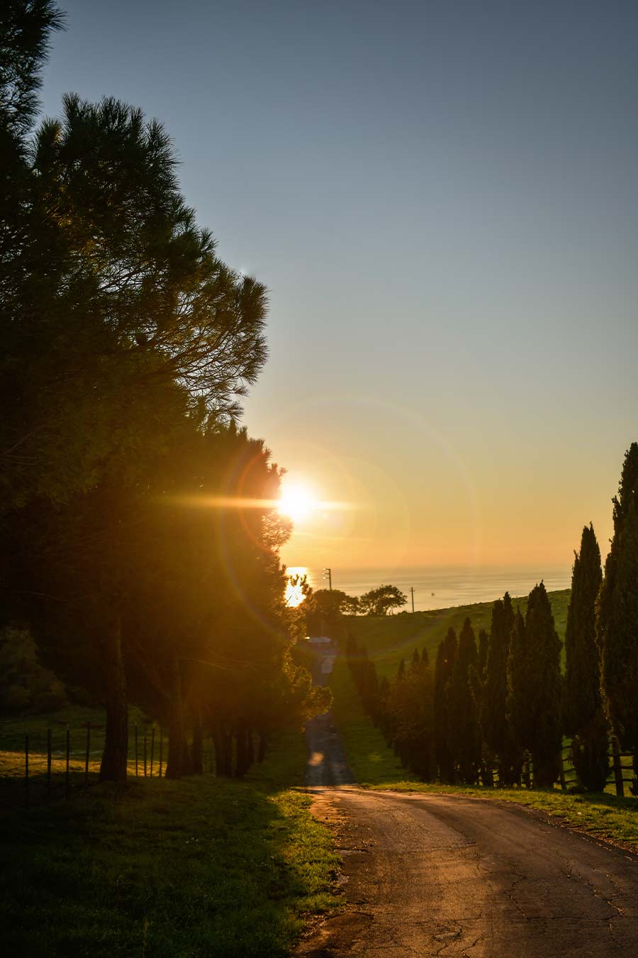 tenuta-dell-argento-civitavecchia-strada-ingresso